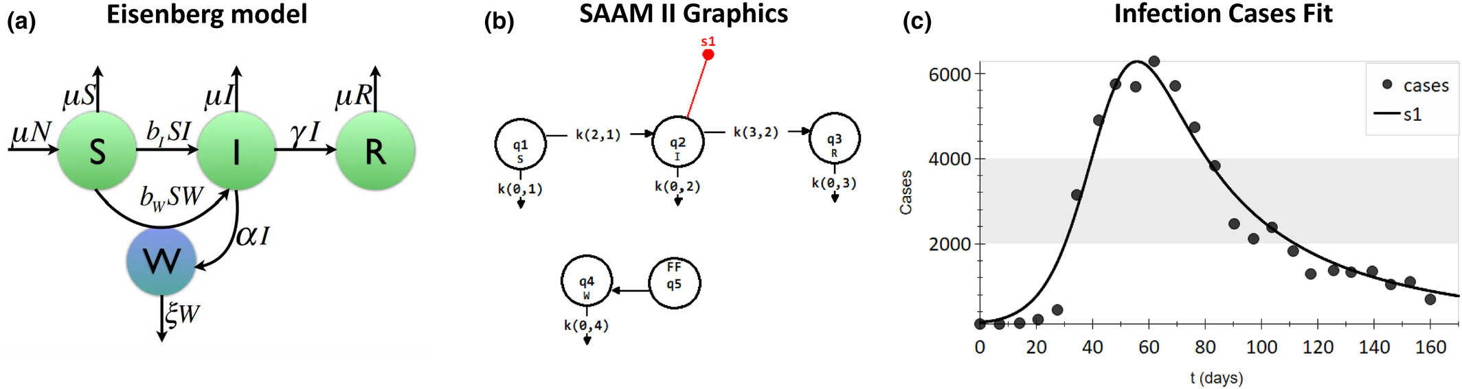 Epidemiological infection model fit in SAAM II